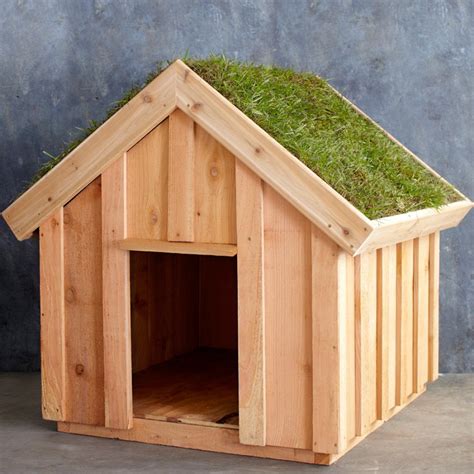 roof for dog house